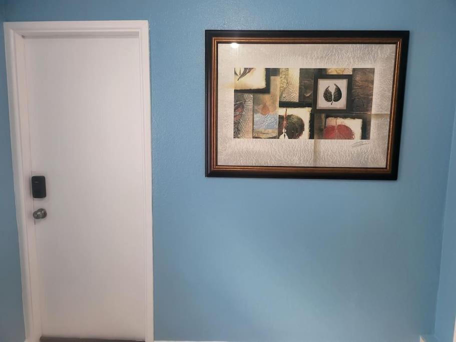 Entire Home By Siesta Key/Closed To Downtown Sarasota Exteriér fotografie